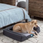 LUX Sealy Orthopedic Dog Bed Modern Grey Small