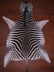 A Grade Zebra Hide 072 M