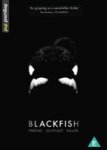 Blackfish DVD