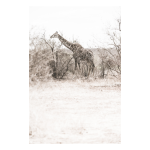 Reach Art Print - Premium Stretched Canvas A2
