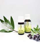 The Old Masters Oil 20ML