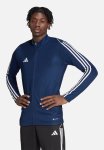 Adidas Performance TIRO23 L Tr Jkt - Team Navy Blue 2
