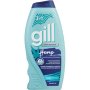 Gill 2 In 1 Shampoo 400ML