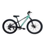 Gobi 24 Mountain Bike