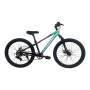 Gobi 24 Mountain Bike