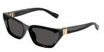 Dolce & Gabbana Womens Sunglasses In Black - Black One Size