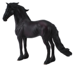 Friesian Stallion X Large