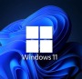 Windows 11 Professional - For 2 Devices