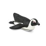 South African Penguin