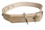 Leather Dog Collar 5 22MM X 500MM