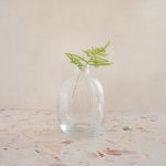 Glass Vase - Belly Round - 11.5CM Height