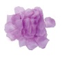 Light Purple Rose Petals