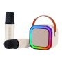 Portable Rechargeable Bluetooth Karaoke System With Two Wireless Mics