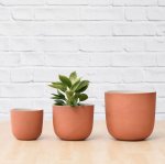 Moon Planter - Terracotta White - 26CM