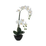 White Orchid In Black Pot 50CM