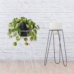 Hairpin Plant Stand - White - White Stand With Black Moon Planter Excl. Plant