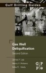 Gas Well Deliquification Hardcover 2ND Edition