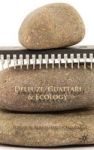 Deleuze guattari And Ecology Hardcover
