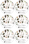 Personalised Christmas Gift Stickers - Earthy Christmas - Afrikaans