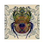 Glaresis Beetle Art Print - 30CM X 30CM Fine Art Print