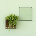 Wall Terrarium - Square - Large Excl. Plants