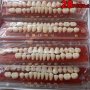 28-Piece Dental Teeth Model Set - Educational Denture Simulation - Polypropylene Resin Teeth For Dental Practice Non-Toxic Tooth Shade Guide For Oral Materials Study