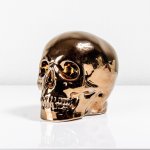 Backbone Human Skull - Bronze
