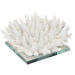 Spiked White Coral On Glass Stand