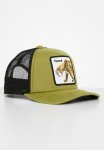 Cats Teefs Goorin Kids Trucker S24 - Olive