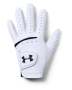 Men's Ua Strikeskin Tour Golf Glove - WHITE-100 / Lmlc