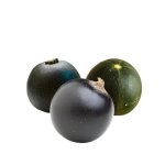 1KG Organic Gem Squash