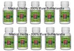 Cancer Bush Sutherlandia 60 X 350 Mg Capsule Bulk Buy 10 Bottles