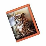 3D Livelife Wallets - Owl Woods From Deluxebase. Lenticular 3D Wildlife Wallet. Cash Coin And Card Holder With Artwork Licensed