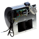 Extractor Motor