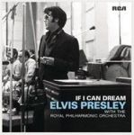 If I Can Dream Vinyl Record