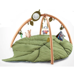 Leaf Shape Playgym