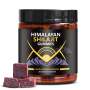 Biyode Natural Himalayan Gummies Organic Natural Gummies For Men And Women Support Natural Energy And Strength 30 Gummies