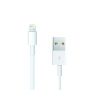 Amplify USB To Lightning Cable
