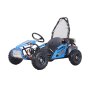 Tao GK100 Model 100CC 4 Stroke Go Kart 5-10 Years - Blue