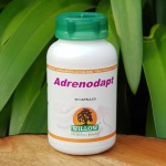 Adrenodapt 90 Capsules Willow