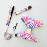Wild Sunrise Collar Lead And Harness Bundle - Small
