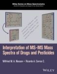 Interpretation Of Ms-ms Mass Spectra Of Drugs And Pesticides Hardcover