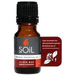 Soil-clove Bud Essential Oil 10ML