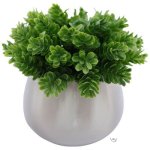 Green Sprig In White Pot 15CM