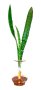 Barrel Vase With Snake Plant