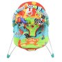 Music & Vibration Baby Bouncer