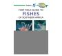 Sasol First Field Guide To Fishes Of Southern Africa   Paperback