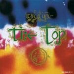 The Top Vinyl Record