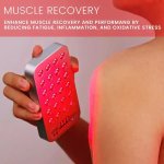 MINI Red Light Therapy Panel RL12-D