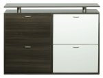 4 Door Tier Hanging Shoe Storage Organizer Cabinet White Walnut